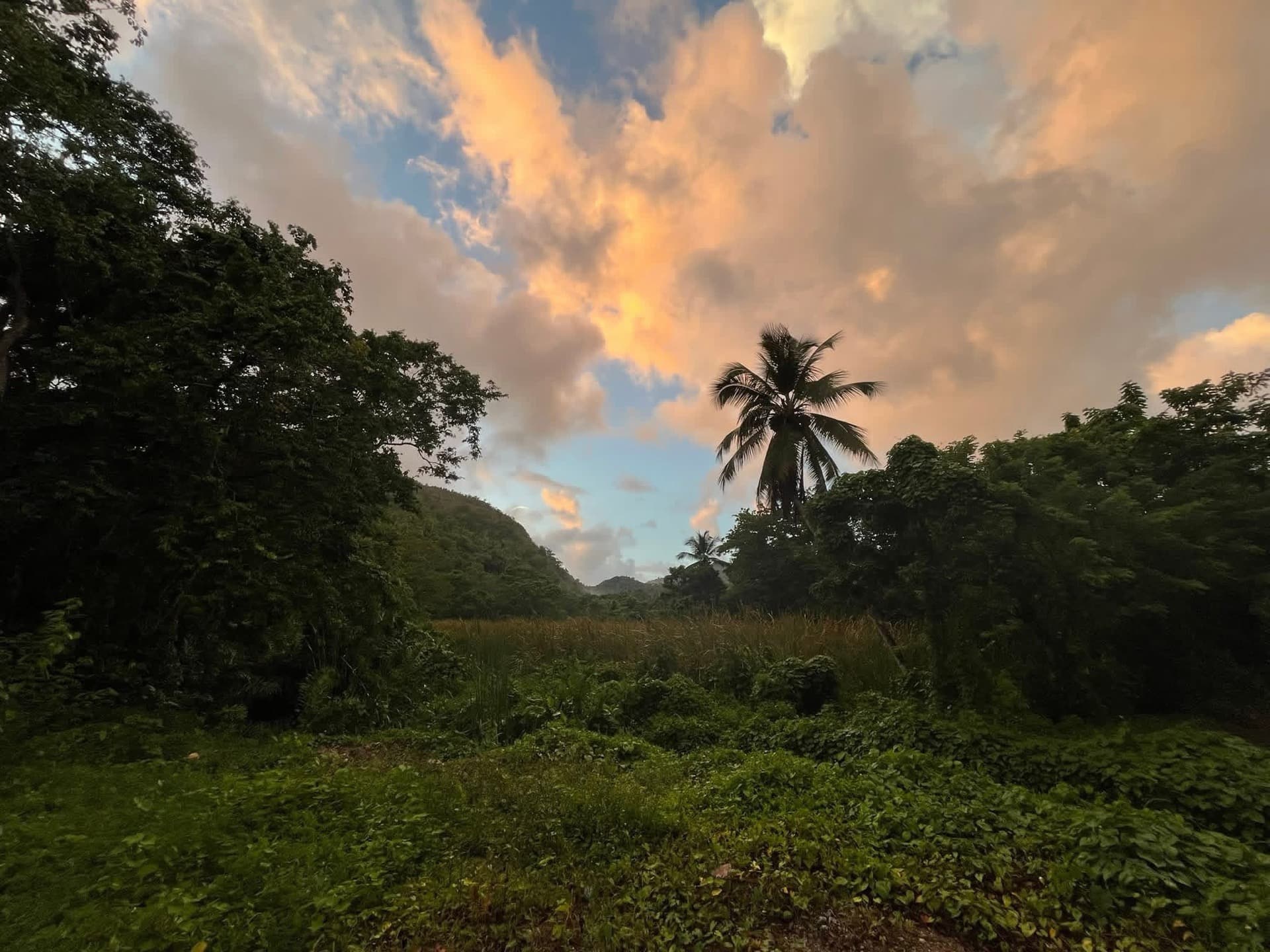 Morning mist over the rainforest mountains that back the El Valle coast